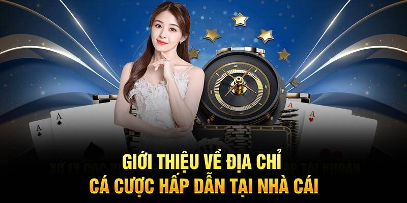 Giới thiệu về địa chỉ cá cược hấp dẫn tại nhà cái