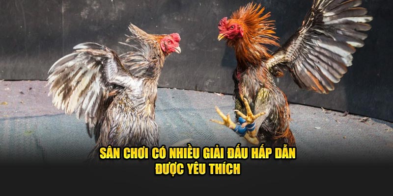 Sân chơi có nhiều giải đấu hấp dẫn được yêu thích